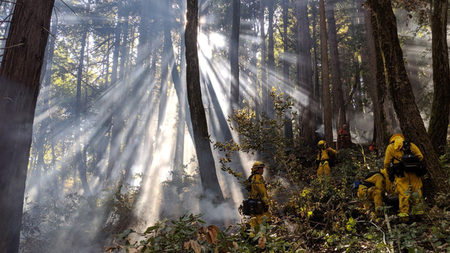 Firefighters extinguish Woodside vegetation fire, one firefighter injured