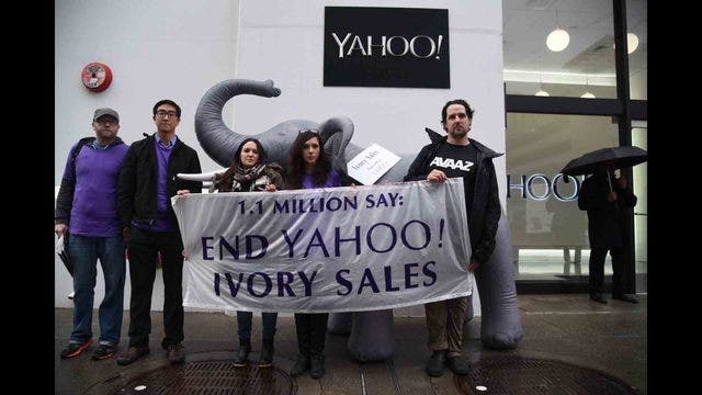 Protest against Yahoo Japan, claims of sales of ivory