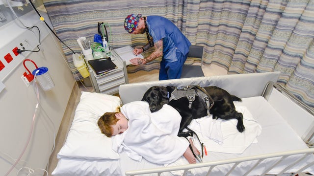 A boy's best friend: Dog brings comfort to autistic 9-year-old