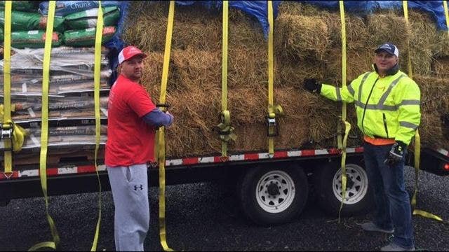 Cousins drive 2,000-plus miles from Chicago to California to help animals after Camp Fire