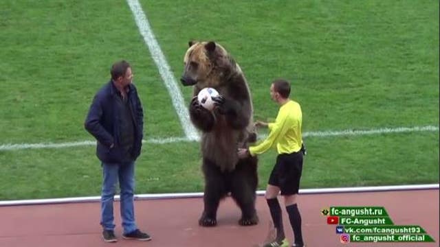 Animal rights groups slam bear use at soccer match