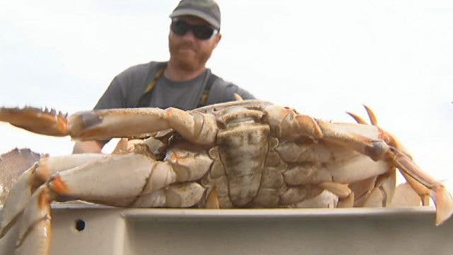 U.S. Reps ask governor to prepare for crab fishery disaster