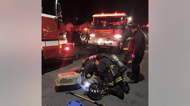Oakland firefighters revive unconscious dog