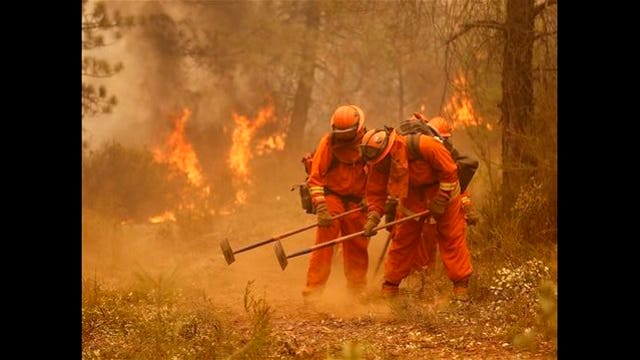 CA may allow inmate firefighters with violent pasts