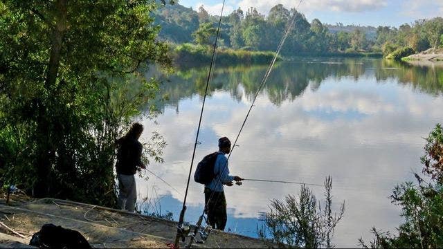 Calling all anglers! California invites you to fish for free