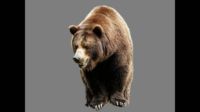 Trump revokes Alaska refuge rule; change may be symbolic