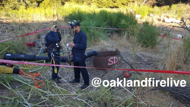 Oakland firefighters rescue goat from deep drainage pipe