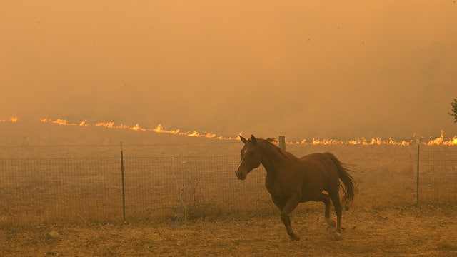 California eyes climate bond to prepare for disasters