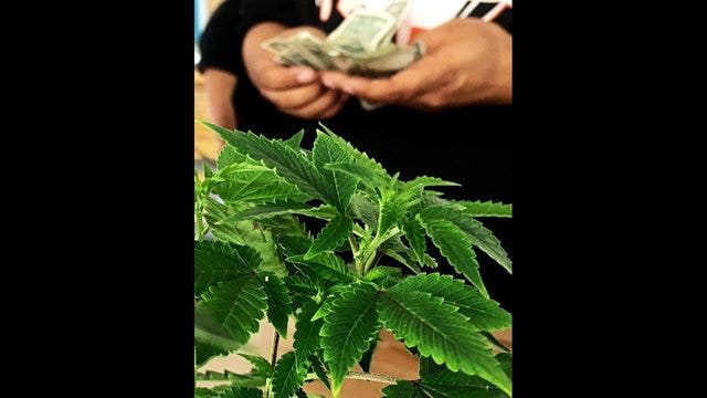 Feds drop case against marijuana dispensary