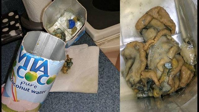 Woman reportedly finds squid-like substance in bottle of coconut water