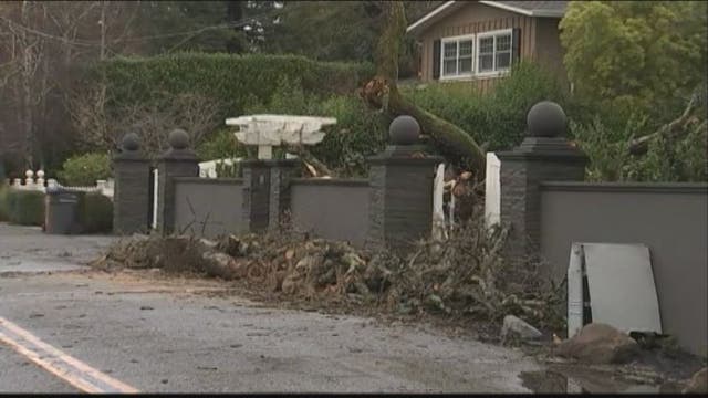 Blustery day with more rain in sight