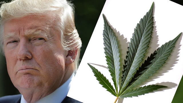 Trump signals support for legislation lifting federal ban on marijuana