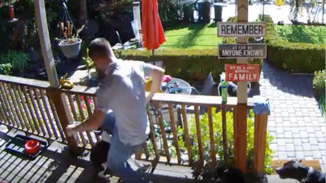 Wag! dog walker charged with animal cruelty; customers concerned about industry background checks