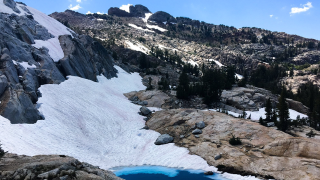 'Watermelon snow' at Yosemite National Park