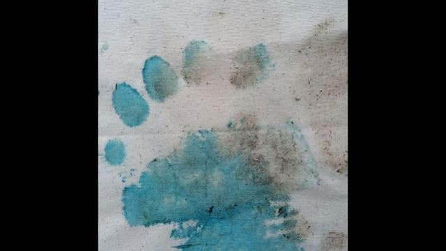 Zoo to auction off nearly 50 paintings created by animals