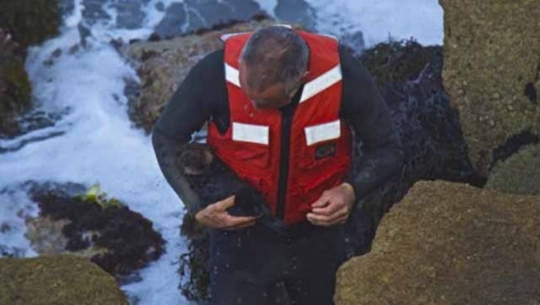 7d861e20-28265079_6903310_G_20150731025408