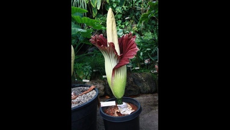 85aafa64-29634763_8406585_G_20150803070432