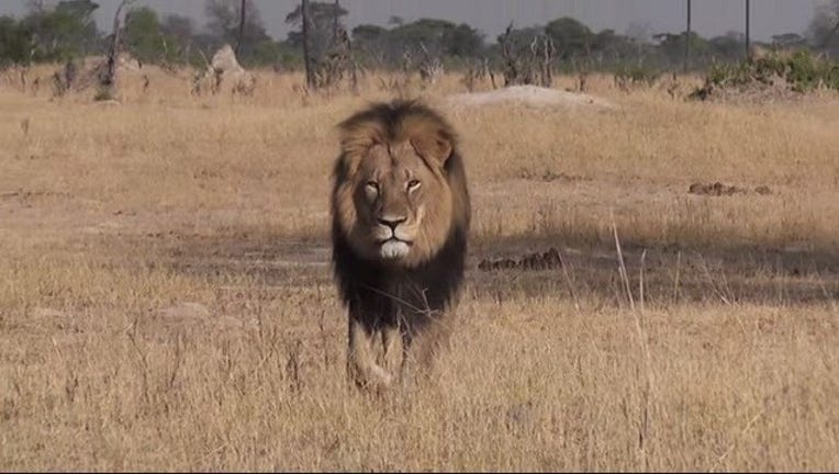 3cbe5832-29659616_8423377_G_20150803071214