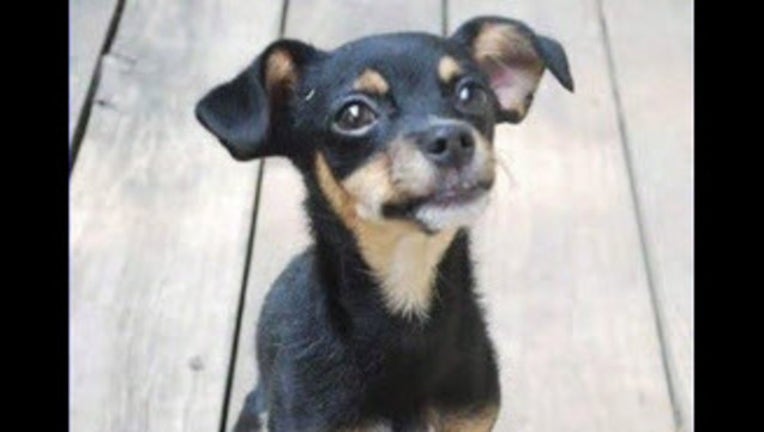 b889eb8b-29696056_8469639_G_20150811063005