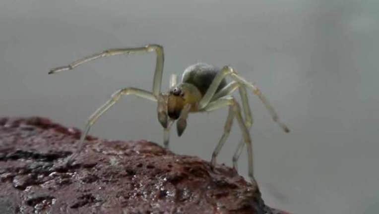 d0916a02-29736418_8512937_G_20150811064854