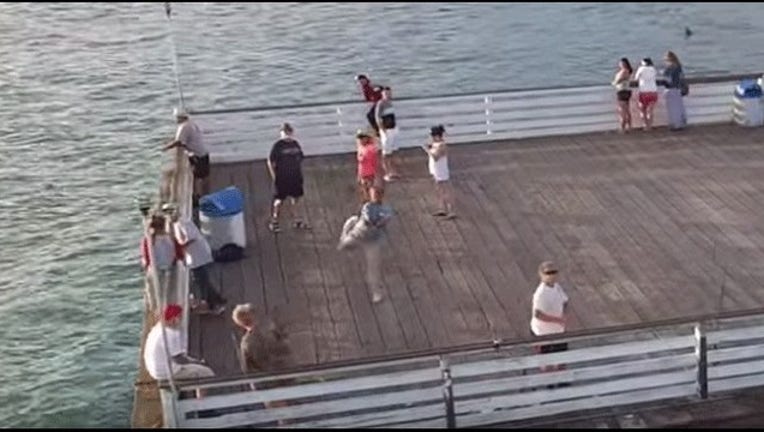 1f523f32-29753605_8531497_G_20150811065101