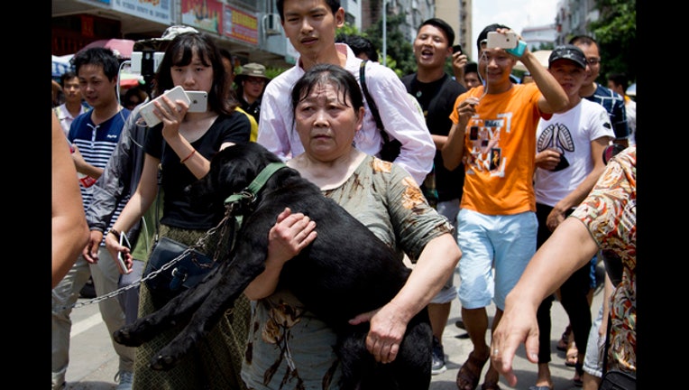 cfafd85e-China Dog Meat Festival_1466627712540