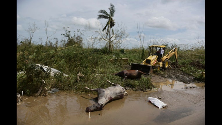 e9555fba-APTOPIX Puerto Rico Hurricane Maria_1506131243553
