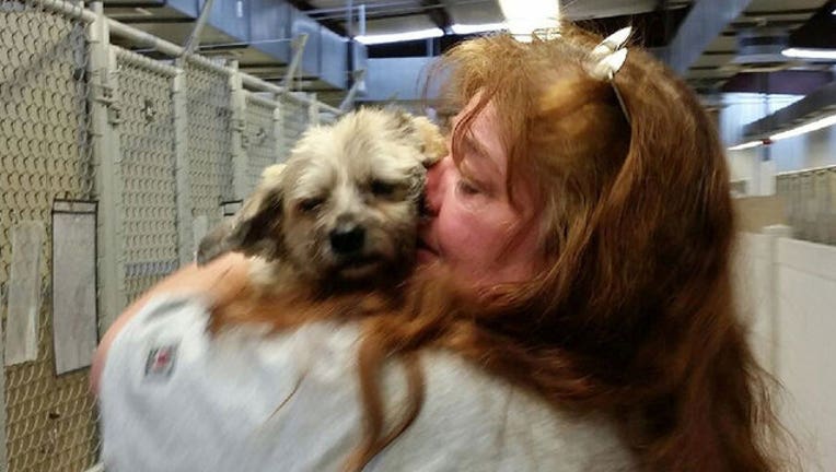 389c38e2-Ohio dog and owner reunion