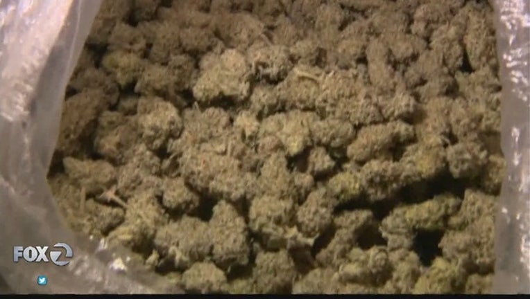 a068408d-California_marijuana_legalization_initia_0_20160505054153
