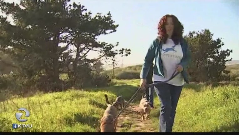 b9112fec-Dog_owners_unhappy_about_tight_leash_law_0_20160323053417