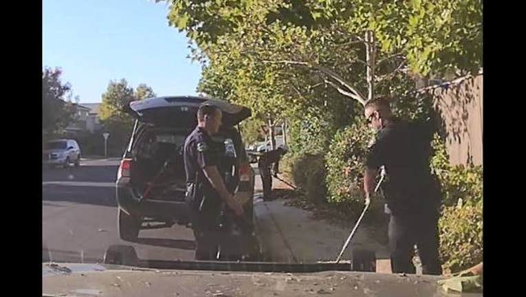 028208f6-KTVU_Elk Grove yardwork_102518