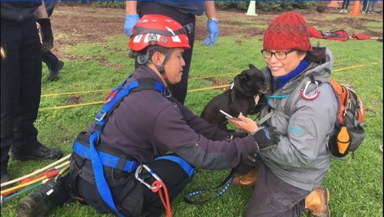 c1a3e486-Ft Funston dog rescue_1548032253647.PNG.jpg