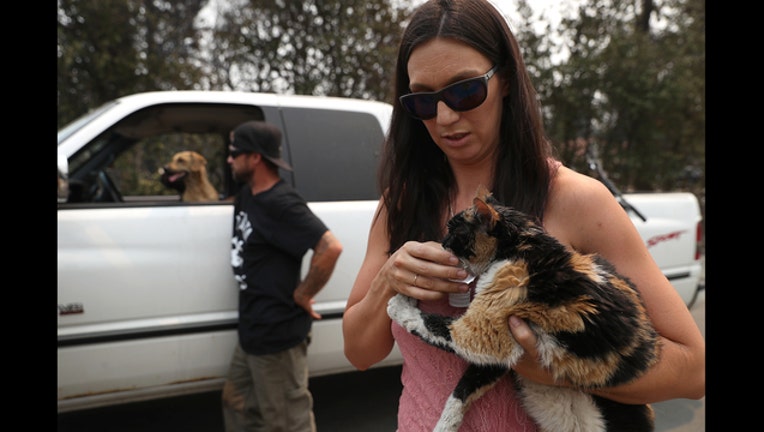 aeab23c8-GETTYIMAGES_PETREUNITED_110318