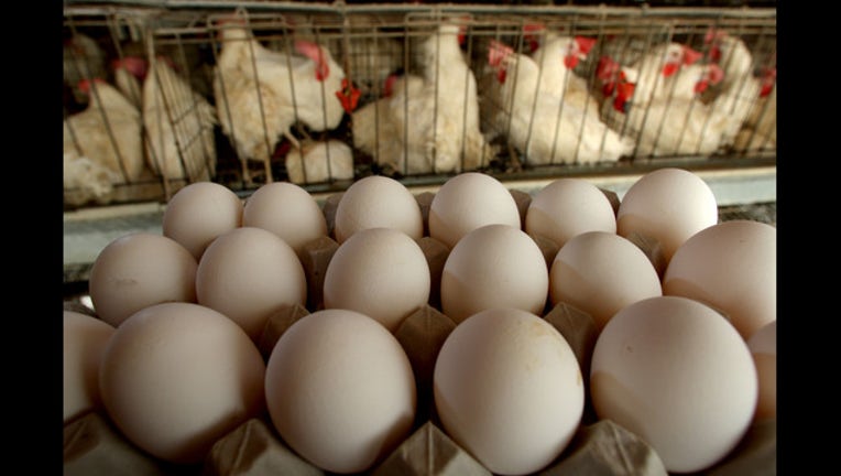 37a87065-GETTY_EGGS_102818