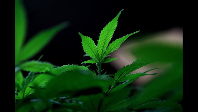 409bd593-60006549_1531595647287