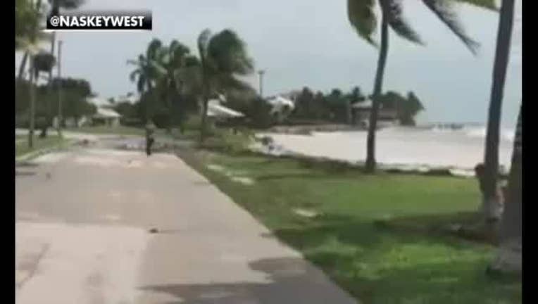 e8d4df7b-Irma_s_outer_bands_take_toll_on_Miami_Be_0_20170910110319-402429-402429