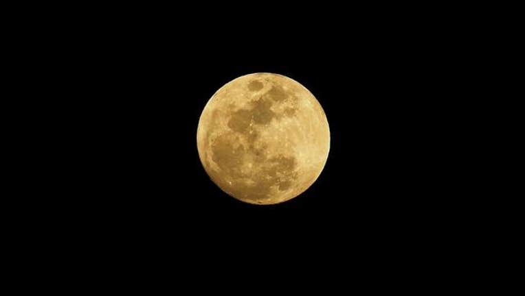 543b7aab-MOON_BRYNER_1488233664689-408200.jpg