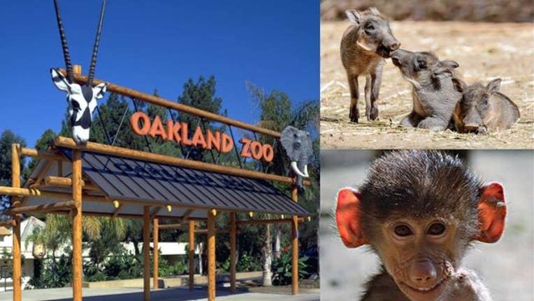 16a29e7c-Oakland_Zoo_new_1510096341490.JPG