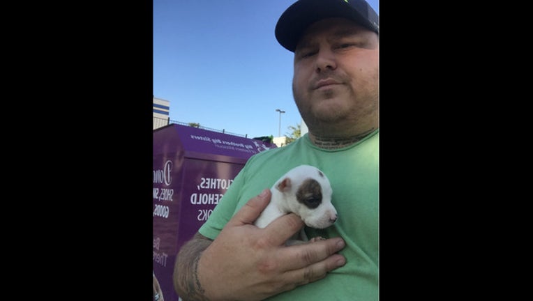 79b6fb49-PUPPY_1_1442585722783.jpg