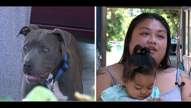 Pit bull credited with saving Stockton woman and baby | KTVU FOX 2