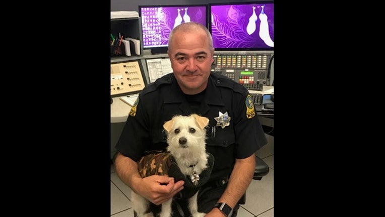 b90f787d-SANBRUNOPD_SKIPPY_090518_1536181196814.jpeg