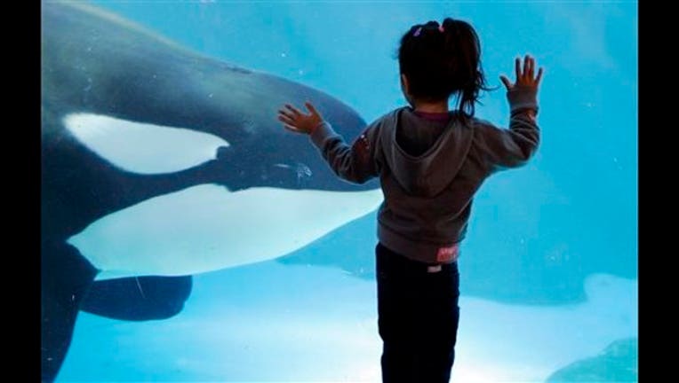 e125fea2-SeaWorld-Orca Tanks_1444399883849