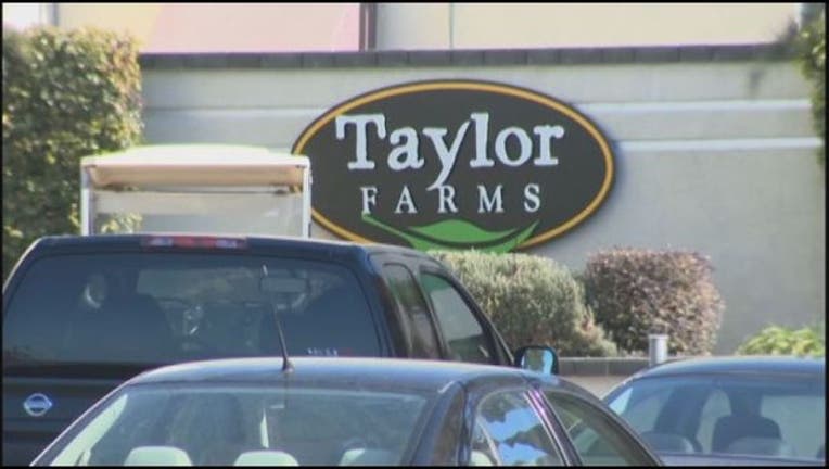 a6551208-Taylor_Farms_1449061261375.jpg