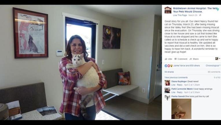 2e303675-Valley_fire_cat_1459779699020.JPG