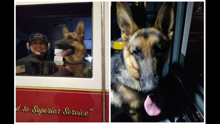 f1ee3fac-alameda county fire dog FB_1511567672388.jpg