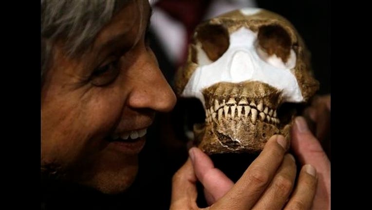 e80fc38a-South Africa Human Ancestor_1441895856989