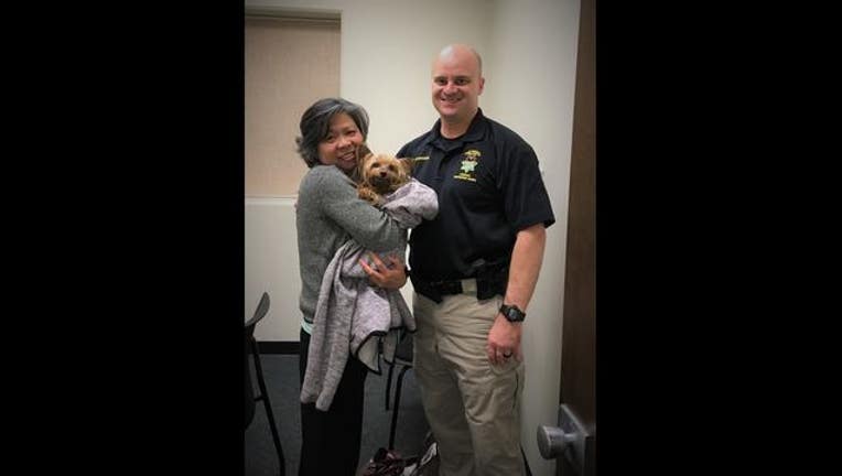 99306a3f-coco_yorkie_hayward_police_1550787862660.jpg