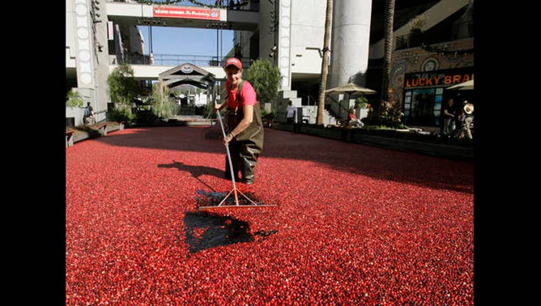 6b09fcce-HOLLYWOOD CRANBURY HARVEST_1477595510723