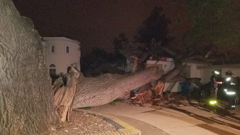 327fc664-Tree falls on Cupertino home