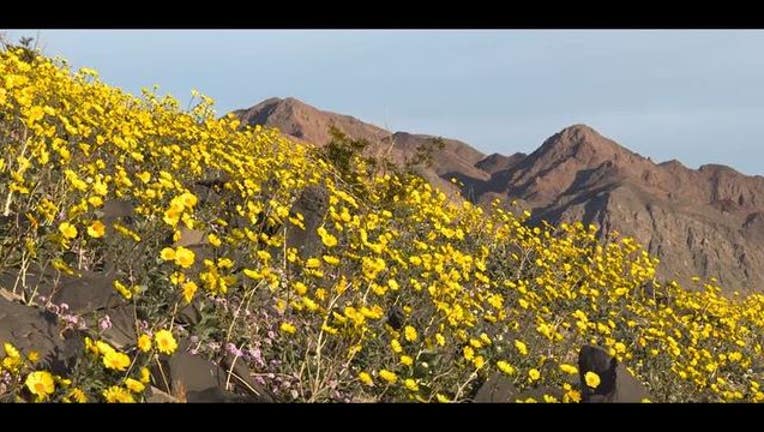 7059b8a0-death_valley_3_1455566684748.JPG